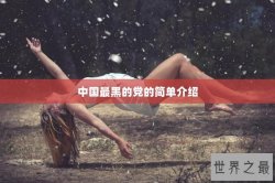中国最黑的党的简单介绍