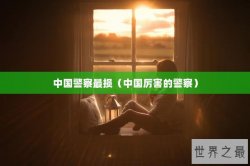 中国警察最损（中国厉害的警察）