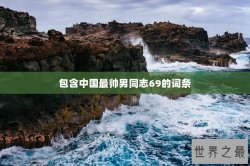 包含中国最帅男同志69的词条