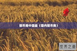 做市商中国最（国内做市商）