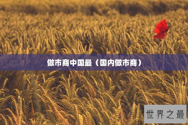 做市商中国最（国内做市商）