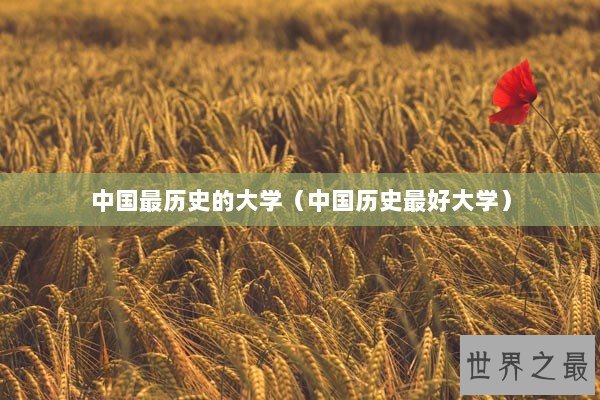 中国最历史的大学（中国历史最好大学）