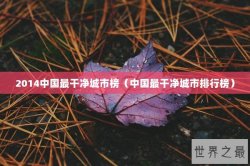 2014中国最干净城市榜（中国最干净城市排行榜）