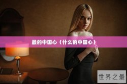 最的中国心（什么的中国心）