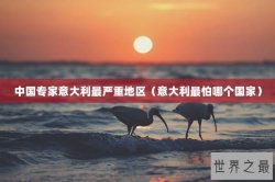 中国专家意大利最严重地区（意大利最怕哪个国家）