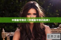 中国最牛快闪（中国最牛快闪品牌）