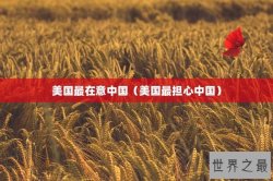 美国最在意中国（美国最担心中国）