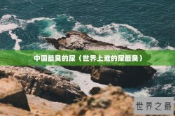 中国最臭的屎（世界上谁的屎最臭）