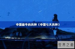 中国最牛的兵种（中国七大兵种）