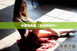 中国功夫最（功夫我特牛）