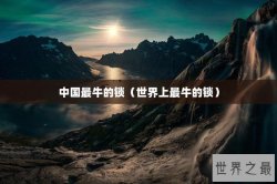 中国最牛的锁（世界上最牛的锁）