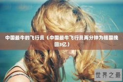 中国最牛的飞行员（中国最牛飞行员两分钟为祖国挽回3亿）
