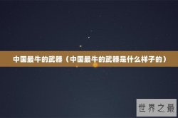 中国最牛的武器（中国最牛的武器是什么样子的）