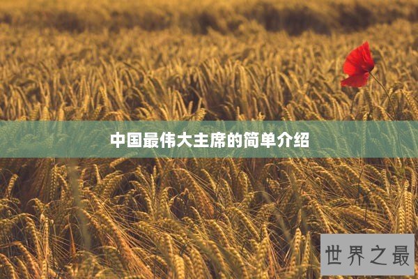 中国最伟大主席的简单介绍