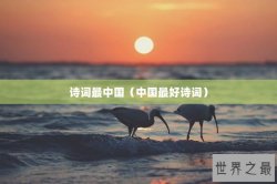 诗词最中国（中国最好诗词）