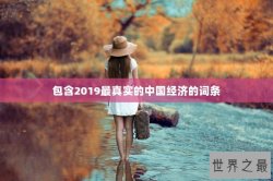 包含2019最真实的中国经济的词条