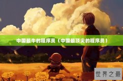 中国最牛的程序员（中国最顶尖的程序员）