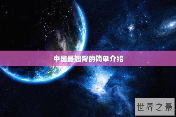 中国最翘臀的简单介绍