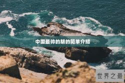 中国最帅的胡的简单介绍