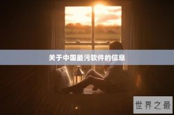关于中国最污软件的信息