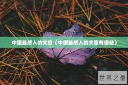 中国最感人的文章（中国最感人的文章有哪些）