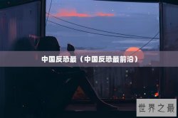 中国反恐最（中国反恐最前沿）