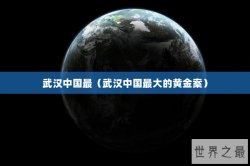 武汉中国最（武汉中国最大的黄金案）