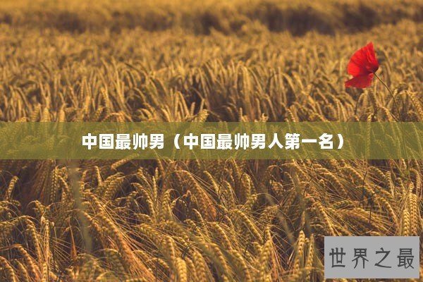 中国最帅男（中国最帅男人第一名）