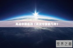 肖战中国最帅（肖战中国第几帅）
