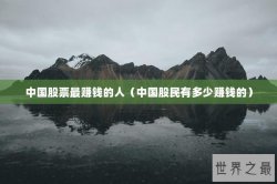 中国股票最赚钱的人（中国股民有多少赚钱的）