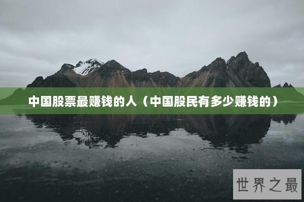 中国股票最赚钱的人（中国股民有多少赚钱的）