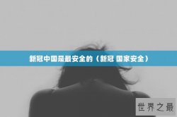 新冠中国是最安全的（新冠 国家安全）