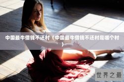 中国最牛借钱不还村（中国最牛借钱不还村是哪个村）