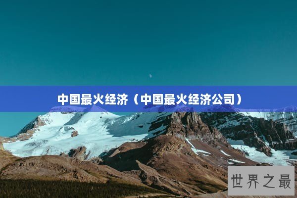 中国最火经济（中国最火经济公司）