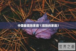 中国最孤独家庭（孤独的家庭）