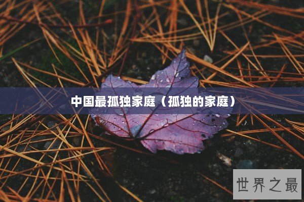 中国最孤独家庭（孤独的家庭）