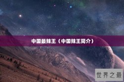中国最辣王（中国辣王简介）