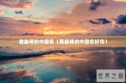 我最棒的中国名（我最棒的中国名好句）