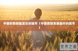 中国的西部最发达的城市（中国西部发展最好的城市）