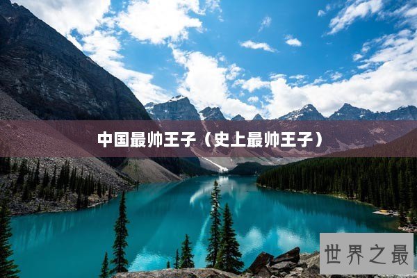 中国最帅王子（史上最帅王子）