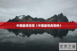 中国最绕高架（中国最短高架桥）