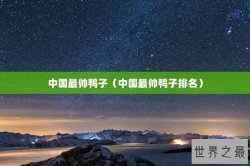 中国最帅鸭子（中国最帅鸭子排名）