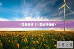 中国最缺锌（中国缺锌省份）
