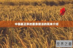 中国最正宗的面条做法的简单介绍