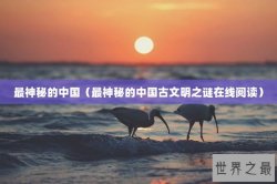 最神秘的中国（最神秘的中国古文明之谜在线阅读）