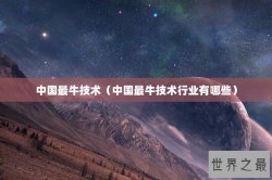 中国最牛技术（中国最牛技术行业有哪些）