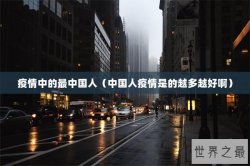 疫情中的最中国人（中国人疫情是的越多越好啊）