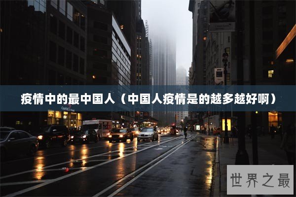疫情中的最中国人（中国人疫情是的越多越好啊）