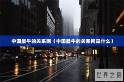 中国最牛的关系网（中国最牛的关系网是什么）