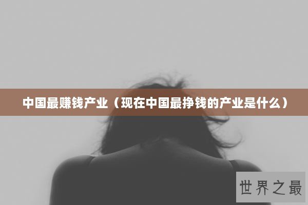 中国最赚钱产业（现在中国最挣钱的产业是什么）